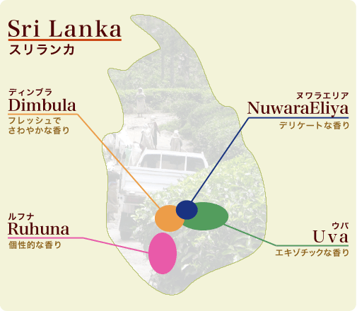 地図：スリランカ