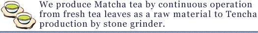 We produce Matcha tea by continuous operation from fresh tea leaves as a raw material to Tencha production bu stone grinder.