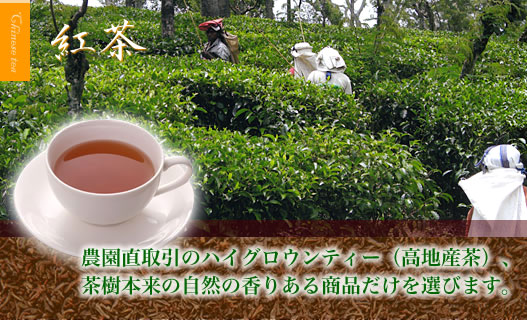 農園直取引のハイグロウンティー（高地産茶）、茶樹本来の自然の香りある商品だけを選びます